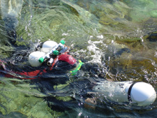 dpv padi diving course